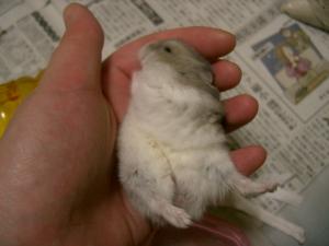 '07 blog用 0063.JPG