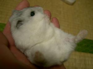 '07 blog用 0066.JPG