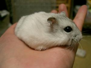 '07 blog用 0080.JPG
