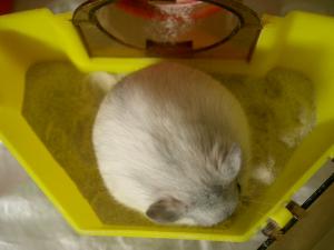 '07 blog用 0085.JPG