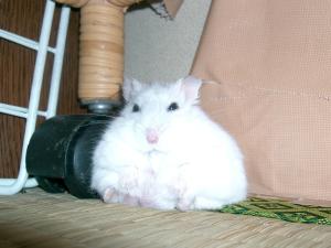 '07 blog用 0101.JPG