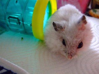 '07 blog用 0128.JPG