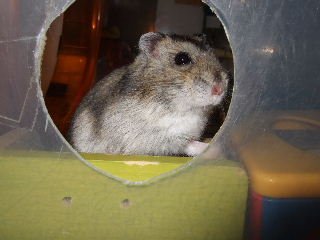 '07 blog用 0132.JPG