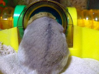 '07 blog用 0144.jpg