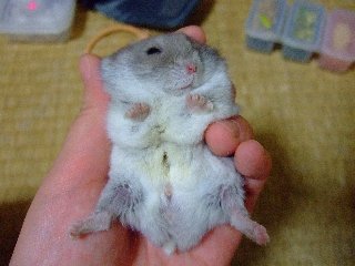 '07 blog用 0145.jpg
