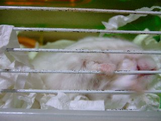 '07 blog用 0148.jpg