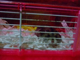 '07 blog用 0152.jpg