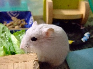 '07 blog用 0158.jpg