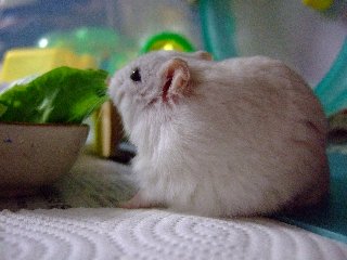 '07 blog用 0159.jpg