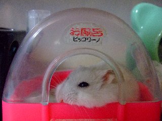 '07 blog用 0160.jpg