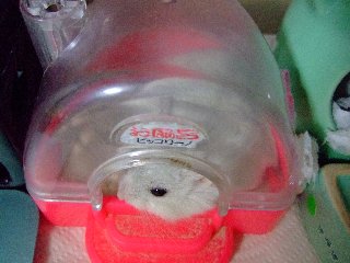'07 blog用 0161.jpg