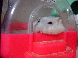 '07 blog用 0162.jpg