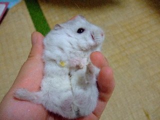 '07 blog用 0170.jpg