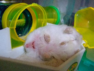 '07 blog用 0172.jpg