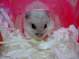 '07 blog用 0173.jpg