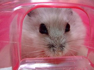 '07 blog用 0174.jpg