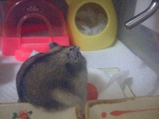 '07 blog用 0179.jpg