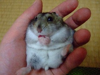 '07 blog用 0180.jpg