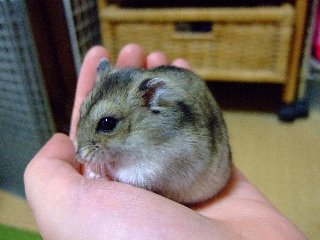 '07 blog用 0181.jpg