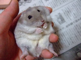 '07 blog用 0182.jpg