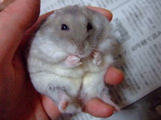 '07 blog用 0183.jpg