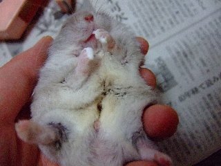 '07 blog用 0184.jpg
