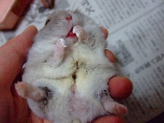 '07 blog用 0185.jpg