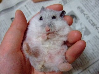 '07 blog用 0187.jpg