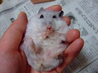 '07 blog用 0188.jpg