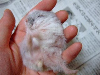 '07 blog用 0189.jpg