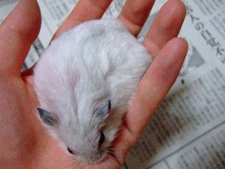 '07 blog用 0190.jpg
