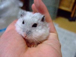 '07 blog用 0191.jpg