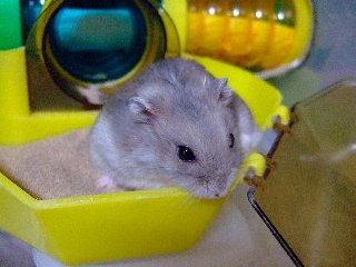 '07 blog用 0198.jpg