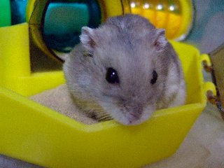 '07 blog用 0199.jpg