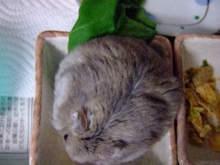 '07 blog用 0200.jpg
