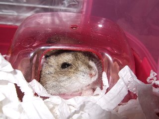 '07 blog用 0201.jpg