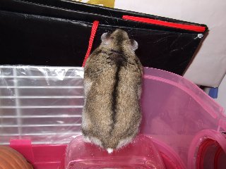 '07 blog用 0202.jpg