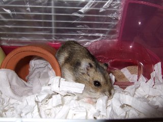'07 blog用 0204.jpg