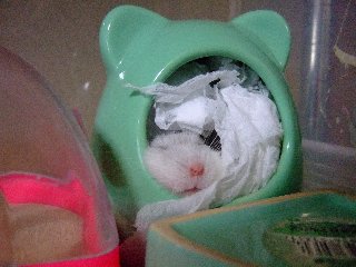 '07 blog用 0205.jpg