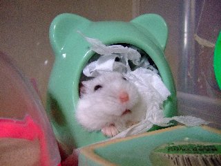'07 blog用 0206.jpg