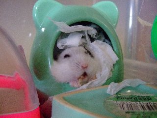'07 blog用 0207.jpg