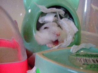 '07 blog用 0208.jpg