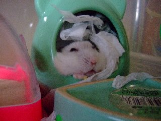 '07 blog用 0209.jpg