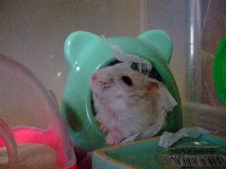 '07 blog用 0210.jpg