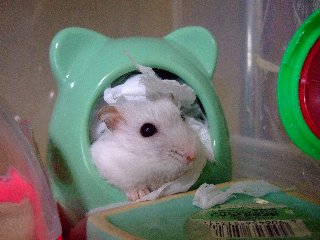 '07 blog用 0211.jpg