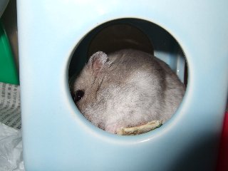 '07 blog用 0214.jpg