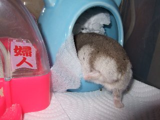 '07 blog用 0216.jpg