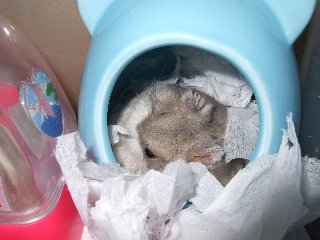 '07 blog用 0218.jpg