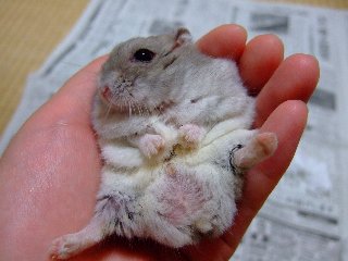 '07 blog用 0219.jpg