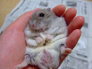 '07 blog用 0220.jpg